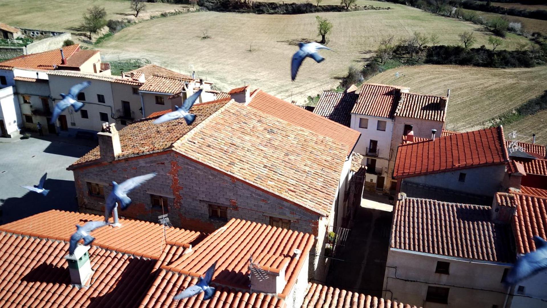 منزل الضيف Rural Puebla De San Miguel المظهر الخارجي الصورة
